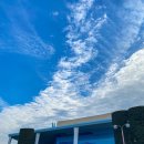 주식회사 에버템 | 도쿄 디즈니랜드 총정리 :: 티켓 예약, 어트렉션(DPA) 후기, 그리고 사진첩(왕창)