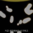 [애니] 듀라라라!! 1화 - 개구일번 ① 이미지