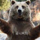 타이어테크 인화점 이미지