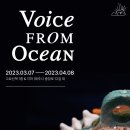 제주클린매니저