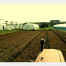 오산6-1 농로 이미지