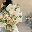 블룸더소브니 이미지