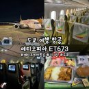 673 | [도쿄] &#39;에티오피아 항공 ET673&#39; 도쿄 에티오피아항공, 에티오피아항공 기내식, 좌석, 탑승 후기
