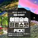 월아산 숲속의 진주 이미지