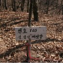 진등농장 Daum카페