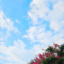 스탠포드리조트 이미지