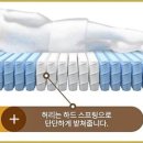 에버그린존 이미지