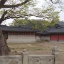 토지초교 이미지