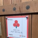 부여손칼국수 티스토리