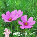 가수 김희진의 노래로 전하는 이야기@나는 너를/인생을 성실하게 살아야 한다. 이미지