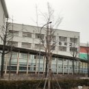 석관고등학교 이미지