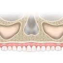 동대문치과의원 이미지