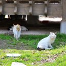 성철슈퍼 이미지