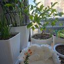 재봉틀로 꾸미는 행복한 우리집 | 오늘은휴일/AI ChatGPT에게 도움을청했다. 합작품 패브릭쇼파티슈커버