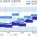 동일유통 티스토리