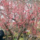 모다 먹거리 이미지