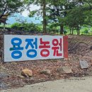 용정농원 이미지