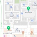 둔산중로-43 네이버블로그