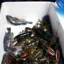 수정낚시터 이미지