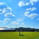 금마초등학교 이미지