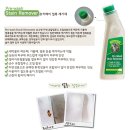 지지베어