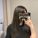 나너 | 💍웨딩 촬영 후기 - 헤어변형편 너랑나연 후기