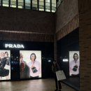 롯데명품세탁 | 파주 롯데프리미엄 아울렛 명품브랜드 - 프라다 패딩 미우미우 숏패딩 아우터 가격 정보