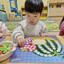 영어&amp;올바른 식생활(채소 과일 맛있게 먹기)🍎🍉🍓🫐 이미지