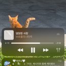 개소리펫샵 | 졸업여행