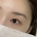 한올속눈썹 네이버블로그