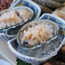 완도수산 이미지