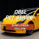 선플라워 - 세종특별자치시 봉안길 65-72 | 일산랩핑 테슬라 랩핑 오벨(OBEL) SUNFLOWER YELLOW 선플라워 옐로우 전체랩핑 후기