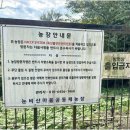 눈비산마을 공동체농장 이미지