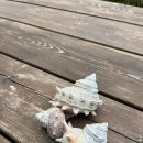 힐빙 인 제주 이미지