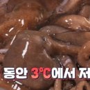 생생낙지 이미지