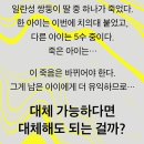 노벨라 별넷 | 단요 - 트윈 대체 가능