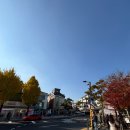 재동 | 안국역 나들이에서 친구와 점심식사 <재동손두부>내돈내산 후기