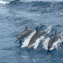 와우리교회 이미지