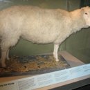 88 GAME STATION 이미지