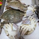 서천 다사항 펜션 이미지