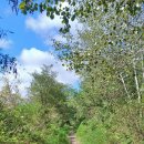 준공업단지사거리 이미지