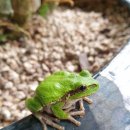 금산분재펜션 이미지