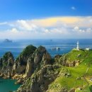 명동축산물 이미지