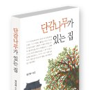 단감나무 집