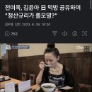 전여옥, 김윤아 日 먹방 공유하며 "청산규리가 롤모델?" 이미지