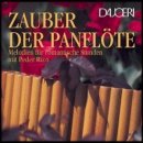 날개를 위한 시....Seagulls in the wind / Zauber Der Panflute 이미지