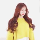 헤어벨 네이버블로그
