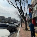 성남 남한산성입구역 초밥 맛집 스시안 점심 메뉴 후기