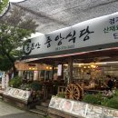 중앙식당 | 용문산 중앙식당 내돈내산 후기 (편견을 깨부순 산채정식)