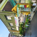 그린비브레인어린이집 이미지